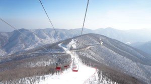 12299785643_ebd2cbf48b_o