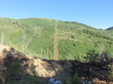Looking up the lift line from tower 4.