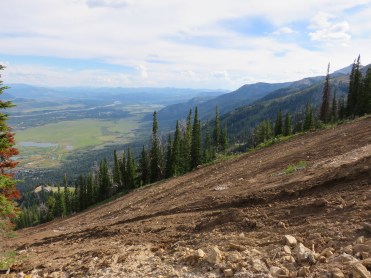 Looking down from Tower 12.